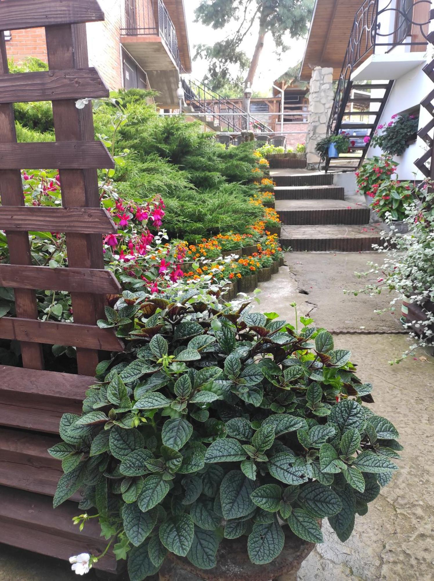 Stadnina Koni Tarka 兹维日涅茨 外观 照片