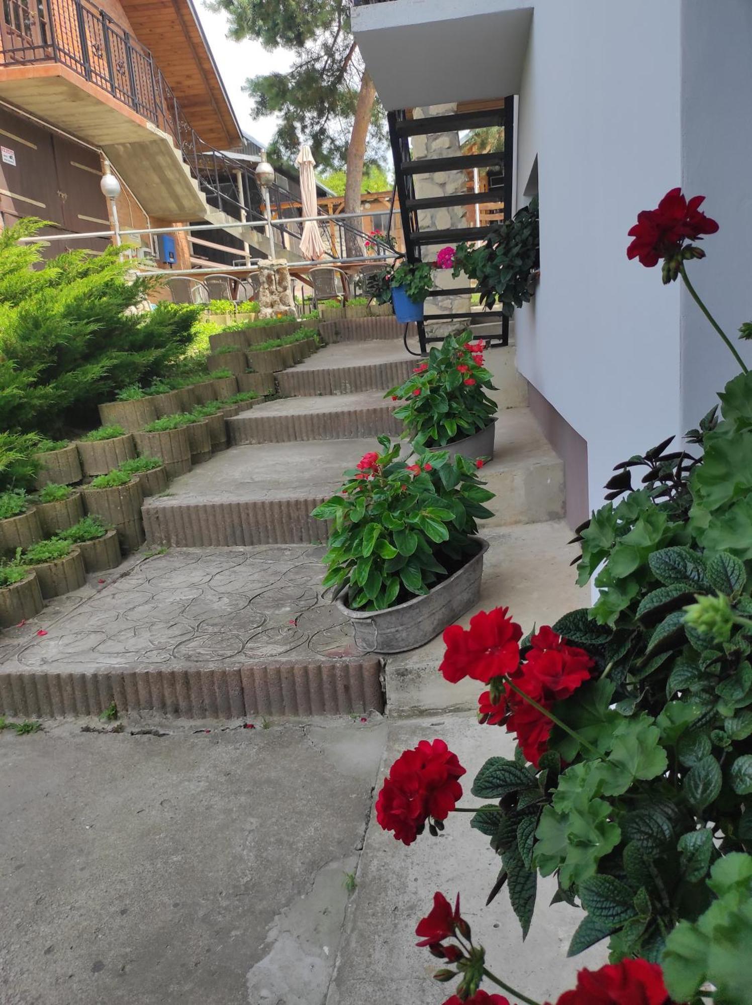 Stadnina Koni Tarka 兹维日涅茨 外观 照片